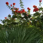 Casaantonietta *