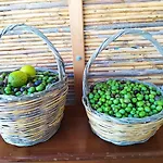 Casaantonietta 아파트