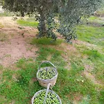 Casaantonietta 아파트 *